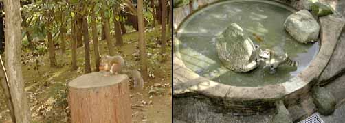 井の頭自然文化園