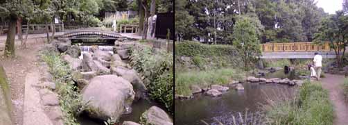 神田川源流